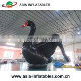 Advertising 8m High Inflatale Black Swan Model, Inflatable Swan Replica For Event thumbnail-2