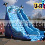 Gaint Inflatable Slides
