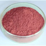 Grape Seed Extract,antioxidant Grape Seed Extract Supplier