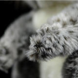 Koala Doll Koala Doll Simulation Animal Plush Toy thumbnail-4