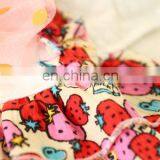 Pet Dog Cat Floral Strawberry Skirt Big Bowknot Skirt Dress Puppy Pomeranian Apparel Clothes thumbnail-6