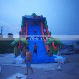 Newest Design Top Quality Inflatable Water Slide For Adult thumbnail-3