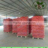 Top Grade Red Burgundy Onions Packing In Mesh Bag Wholesale Price thumbnail-5