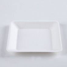 Disposable Biodegradable 6 INCH Square Plate Take Away Sugarcane thumbnail-2