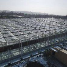 Shandong Beita Agricultural Technology Co., Ltd company overview - view 1 thumbnail