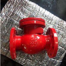 BS 5153 Swing Check Valve in Sizes DN40 to DN600, Tested to ISO5208 Standard, Pressure Range PN16 thumbnail-2