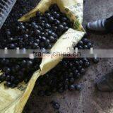 Mineral Powder Ball Press (86-15978436639)