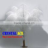 Real Natural Plumage Wholesale Cheap White Ostrich Feathers Large Feathers Trim thumbnail-1