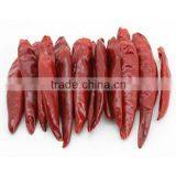 2013 New Crop Dry Chilli Pods thumbnail-1