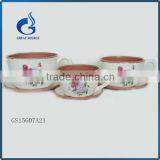 Modern Indoor Plant Pots Decorative Ceramic Flower Pots With Saucer thumbnail-3