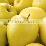 Fresh Apples of Origin