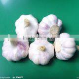 Normal White Garlic(2014 New Crop) thumbnail-1