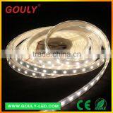 Factory Price Silicon Gel Waterproof Led Strip Accessories 60LED1m Led Strip DC12V