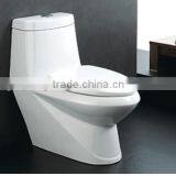 Y5526 Bathroom Sanitary Ware Washdown One-Piece Toilet
