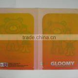 a4 Size File Folder