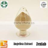 Angelica Sinensis Extract Powder for Women Healthy thumbnail-3