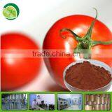 High Quality Tomato Extract Lycopene thumbnail-1