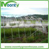 Agricultural Greenhouse thumbnail-3