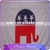 China Manufacturer 10 Years Experience Smudge-proof Custom Sailing Flags thumbnail-1