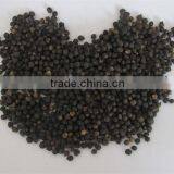 Malabar Spinach Seeds Vegetable Seeds for Planting thumbnail-4