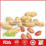 Blanched Peanut Kernels With Long/round Type thumbnail-3