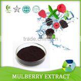 100% Natural Pigment 25% Anthocyanidins Powder Mulberry Fruit Extract