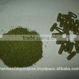 Moringa Powder