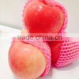 Red Fuji Apple thumbnail-1