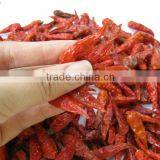 VIETNAM DRIED RED CHILLI HIGH QUALITY