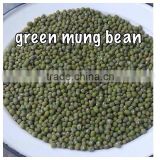 High quality green mung beans from Vietnam with best price ever for sale