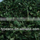 Dehydrayed Spinach Granulater thumbnail-1