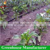 Greenhouse Micro Irrigation System Design thumbnail-2
