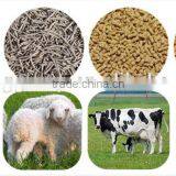High Quality Ring Die Animal Feed Pellet Mill thumbnail-6