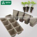 Disposable Paper Pulp Small Plant Pot