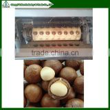 Vietnamese Hawaii nuts processing/cutting machine price