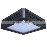 MarsHydro New Plant Grow Light Red and Blue Full Spectrum Led Grow Light thumbnail-4