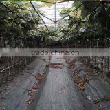 Heavy Duty Weed Bolck Landscape Fabric thumbnail-2