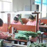 Baoding Yuankun Machinery Manufacturing Co.,Ltd company overview - view 1 thumbnail