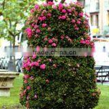 SOL 2015 New Design Big Flower Tower Vertical Green Planter Large Plastic Planters thumbnail-5