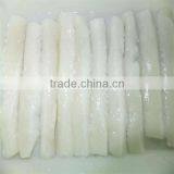 Well Season Frozen Whole Squid thumbnail-1