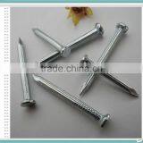 Лучшая цена на оцинкованные стальные бетонные гвозди из фабрики в Линьи thumbnail-1