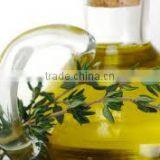 Thyme Oil thumbnail-3