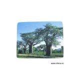 Sell Mouse Pad thumbnail-1