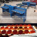 Egg Grading Machine/egg Sorting Machine/egg Grader for Sale Egg Grading Packing Machine thumbnail-2