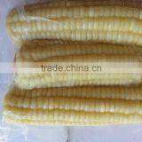 Best Price Frozen White Sweet Corn From Vietnam