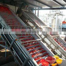 Different Capacity Commerical Tomato Crushing Plant Manufactured in Shanghai Gofun( Fruit Processing Equipments) thumbnail-1