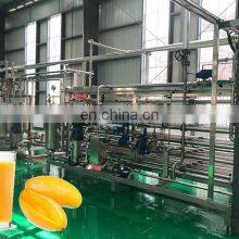 Superior Quality Industrial Stainless Steel Mango Production Line thumbnail-5