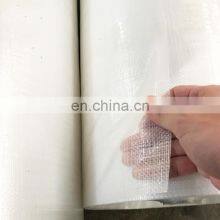 Heavy Duty UV Treated Waterproof Transparent Tarp Clear PE Tarpaulin for Greenhouse Poultry Cover thumbnail-5
