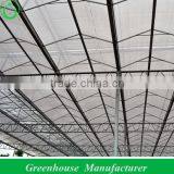 Hot Dipped Galvanized Tomato Growing Greenhouse