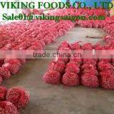 GOOD SOURCE _ *FRESH SMALL ONION* _ GOOD QUALITY thumbnail-2